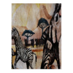 Zebra Mural Postcard