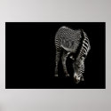 Zebra P4435 Print