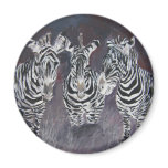 zebra-painting magnets