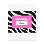 Zebra Pink White Template Post Card