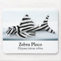 Zebra Pleco Mousepad