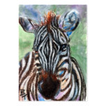 Zebra Portrait ACEO ArtCard business cards
