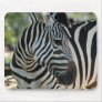 Zebra Pose Mousepad