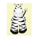 Zebra postcards