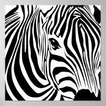 Zebra Poster