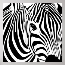 Zebra Poster