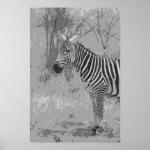 ZEBRA PRINT