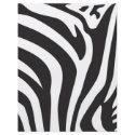 Zebra Print flyers