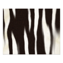 Zebra Print Photo Art