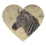 zebra profile stickers
