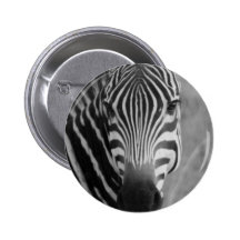 Zebra Safari Cute African Classy Stripes Buttons