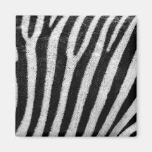Zebra Skin Fridge Magnets