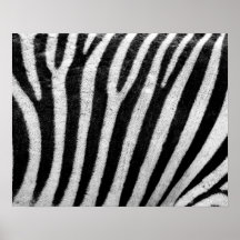 Zebra Skin Print