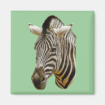 Zebra Square Magnet