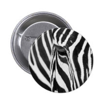 Zebra Stare Pinback Buttons