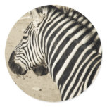 Zebra stickers
