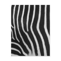 Zebra Stripe Pattern Postcard