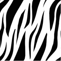 Zebra Stripe Photo Cutouts