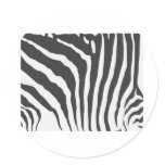Zebra Stripe Skin Pattern Sticker