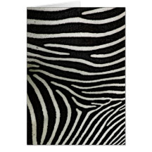 Zebra Stripes Cards