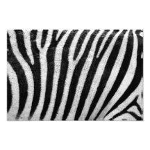 Zebra Stripes Photography Pattern Photo Print