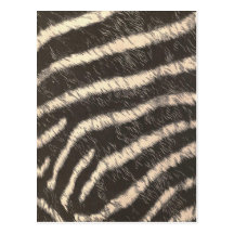 Zebra Stripes Post Card