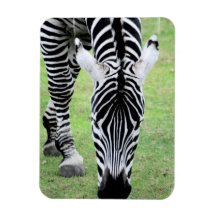 Zebra Stripes Premium Magnet
