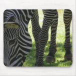Zebra Stripes, TL Cox Mouse Pad
