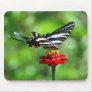 Zebra Swallowtail Butterfly Mousepad