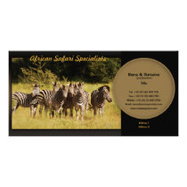 Zebra travel agencies, safari lodges, zoologists