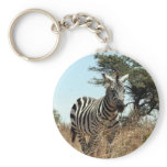 zebra wild keychains