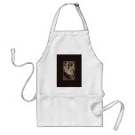 Zebra wildlife bbq aprons