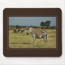 Zebra wildlife safari mousepads