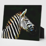 Zebra with black and white stripes in Africa Photo Plaques