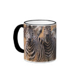 zebra, ZEBRA'S Mug