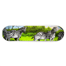 Zebras Alert