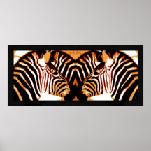 Zebras in love poster