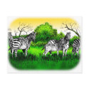 Zebras on the lookout postcards