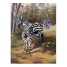 Zebras Postcard