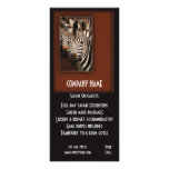 Zebras rack cards