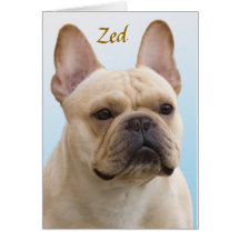 Zed Note Card V2