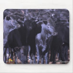 ZeeBoulls mousepads