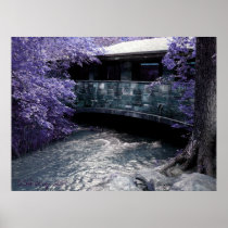 ZEN Art Print