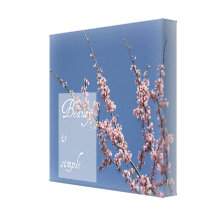 Zen- Beauty is Simple Cherry Blossom Canvas Gallery Wrap Canvas