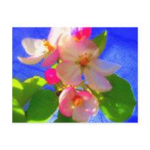 Zen Blossoms Postcard