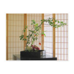 zen flower arrangement postcards