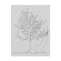 Zen Growth postcards