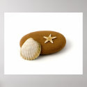 Zen Nature Sea Shell Star fish Pebble posters