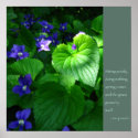 Zen Proverb Quote Poster posters