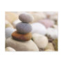 Zen Rock Garden Post Card
